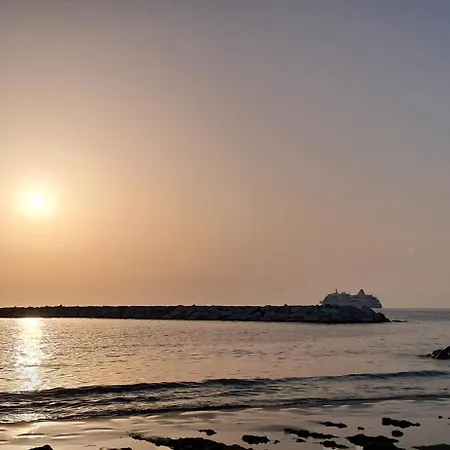 Torre1947 아그로폴리