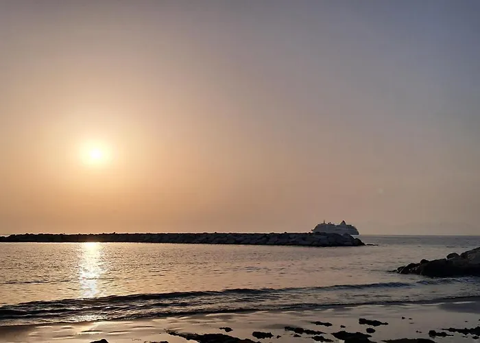 Torre1947 アグローポリ