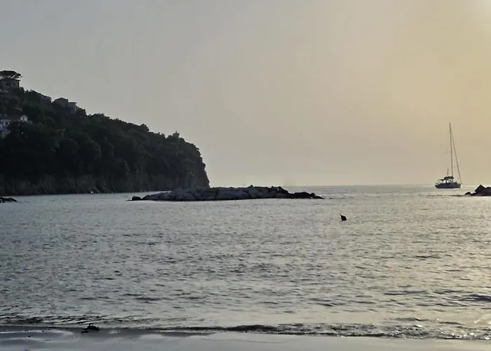 Torre1947 * アグローポリ